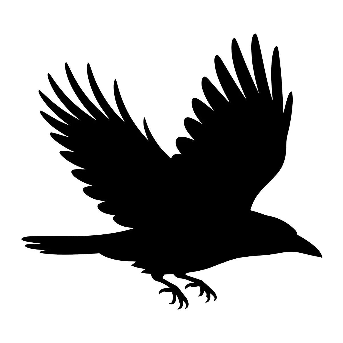 Silhouette of a crow in flight, wings outstretched.