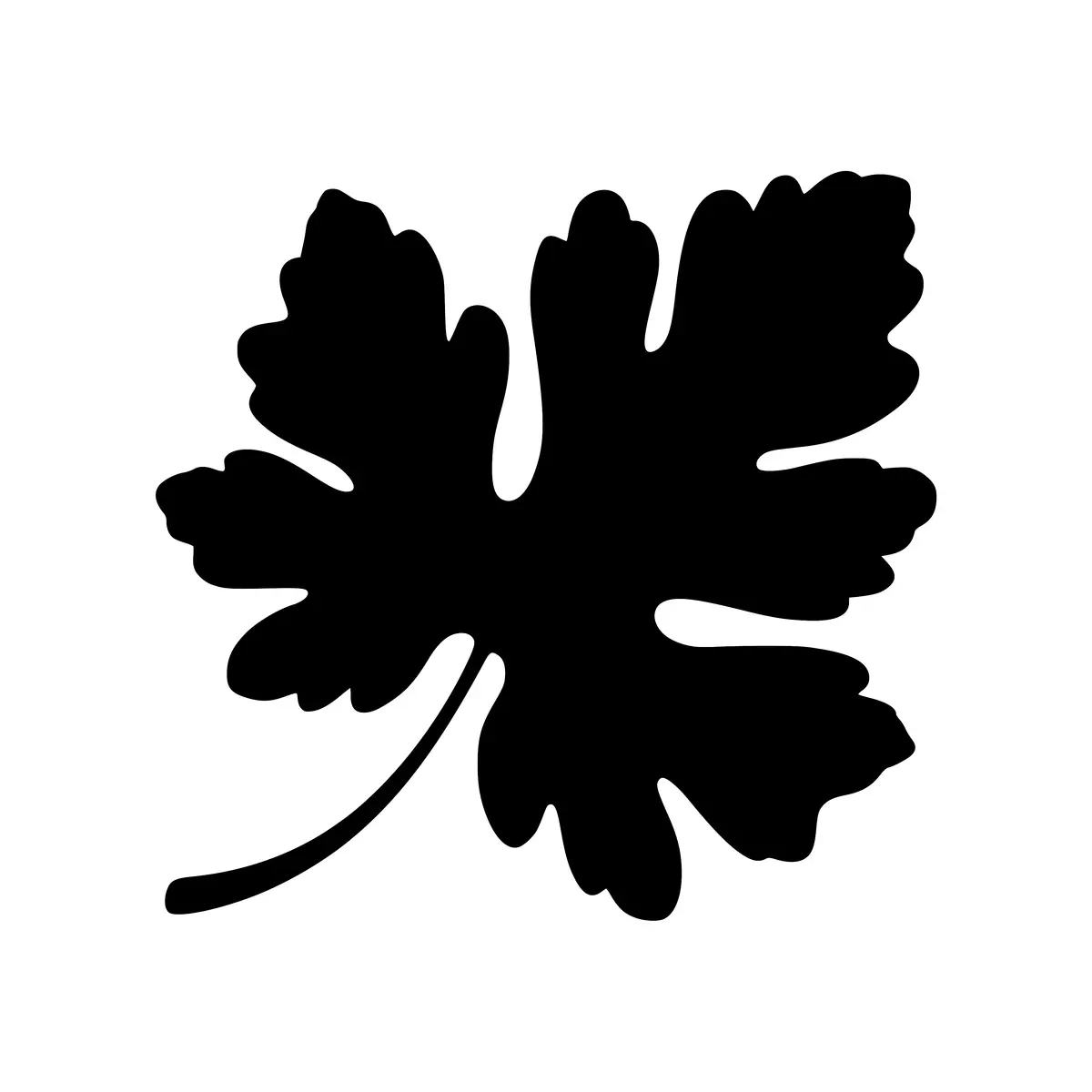 A detailed silhouette of a pumpkin leaf, perfect for autumn designs.