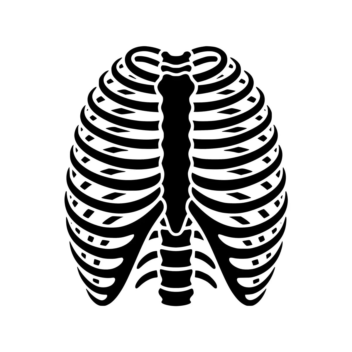 A detailed silhouette of a human ribcage, perfect for medical or anatomical illustrations.