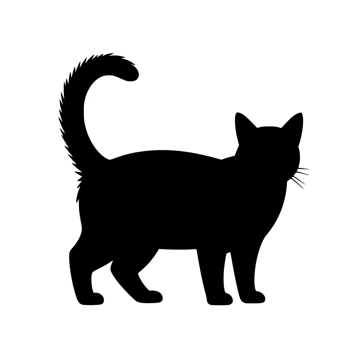 Silhouette of a scary cat, arched back, perfect for Halloween.